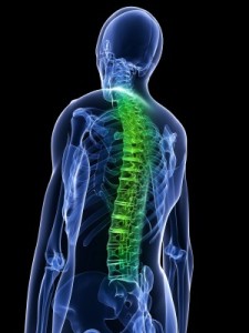 rasmussen and miner spinal cord injury